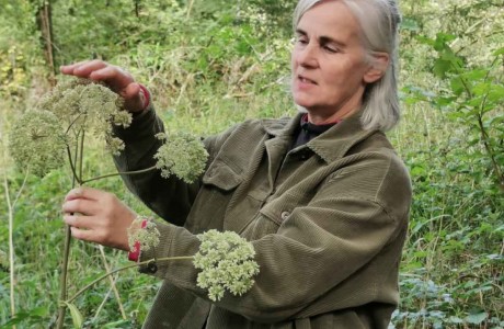 Mary Wild Food 2