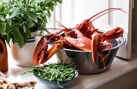 Lobster shorter v2