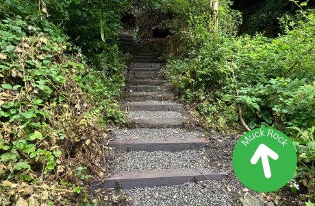 Muck Rock Steps