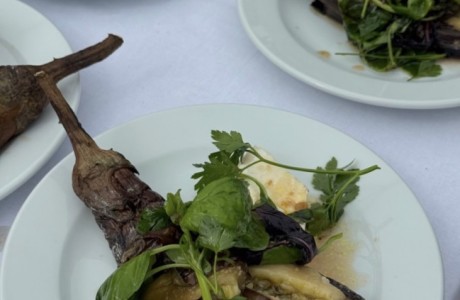 vegetarian events at Howth Castle